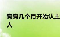 狗狗几个月开始认主人 狗狗能同时认几个主人 