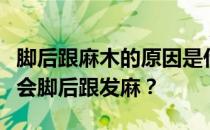 脚后跟麻木的原因是什么？为什么男人射精后会脚后跟发麻？