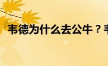 韦德为什么去公牛？韦德为什么去找公牛？