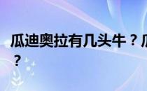 瓜迪奥拉有几头牛？瓜迪奥拉为什么叫瓜不群？