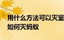 用什么方法可以灭室内蚂蚁 想问下大家室内如何灭蚂蚁 