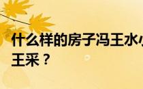 什么样的房子冯王水小白问风水什么样的房子王采？