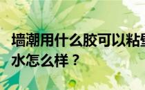 墙潮用什么胶可以粘壁纸？卧室壁纸保暖用胶水怎么样？