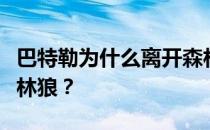 巴特勒为什么离开森林狼？巴特勒为什么去森林狼？