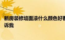 新房装修墙面漆什么颜色好看 新房怎么样装修好看谁可以告诉我 