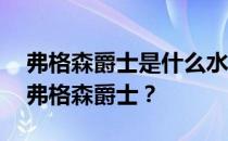 弗格森爵士是什么水平 为什么弗格森被称为弗格森爵士？