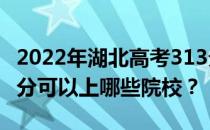 2022年湖北高考313分可以报哪些大学？313分可以上哪些院校？