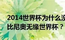 2014世界杯为什么没有罗比尼奥？为什么罗比尼奥无缘世界杯？