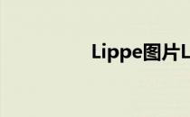 Lippe图片Lippe为什么