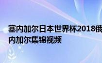 塞内加尔日本世界杯2018俄罗斯世界杯H组第2轮日本vs塞内加尔集锦视频