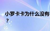 小罗卡卡为什么没有参加2014年巴西世界杯？