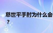 慈世平手肘为什么会变硬 为什么会怕慈世平？