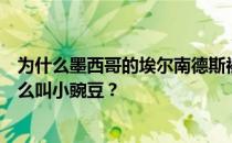 为什么墨西哥的埃尔南德斯被称为小豌豆？埃尔南德斯为什么叫小豌豆？