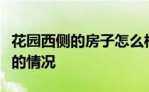 花园西侧的房子怎么样？我想问一下西区花园的情况