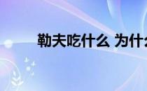 勒夫吃什么 为什么勒夫喜欢鼻屎？