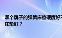 哪个牌子的弹簧床垫硬度好不变形？谁知道哪个牌子的弹簧床垫好？