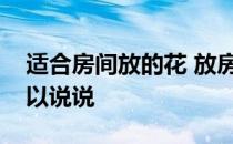 适合房间放的花 放房间里要什么花好呢谁可以说说 