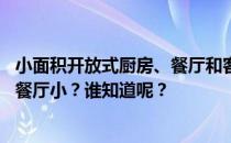 小面积开放式厨房、餐厅和客厅 有什么办法可以认为厨房和餐厅小？谁知道呢？