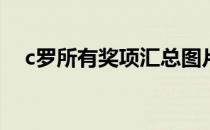 c罗所有奖项汇总图片为什么c罗收入高？