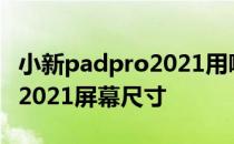 小新padpro2021用哪家的屏幕 小新PadPro2021屏幕尺寸 