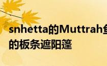 snhetta的Muttrah鱼市有受阿拉伯书法启发的板条遮阳篷