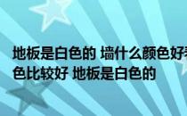 地板是白色的 墙什么颜色好看？请告诉我客厅墙壁用什么颜色比较好 地板是白色的