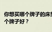 你想买哪个牌子的床垫？想问一下国产床垫哪个牌子好？