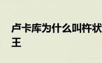 卢卡库为什么叫杵状王 卢卡库为什么叫楚庄王 