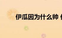 伊瓜因为什么帅 伊瓜因为什么胖？