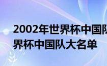 2002年世界杯中国队员号码名单 2002年世界杯中国队大名单 