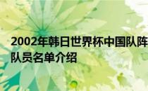 2002年韩日世界杯中国队阵容:2002年世界杯中国队成绩及队员名单介绍