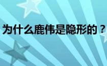 为什么鹿伟是隐形的？为什么鹿伟启动不了？