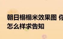 朝日榻榻米效果图 你们觉得朝日和室榻榻米怎么样求告知 