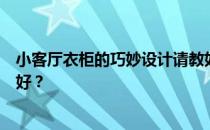 小客厅衣柜的巧妙设计请教如何设计和布置小客厅衣柜效果好？