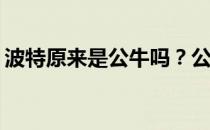 波特原来是公牛吗？公牛队为什么想要波特？