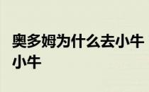 奥多姆为什么去小牛？为什么奥多姆被交易到小牛