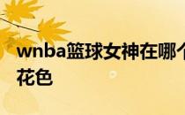 wnba篮球女神在哪个球队 wnba篮球为什么花色 