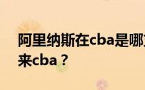 阿里纳斯在cba是哪支球队 阿里纳斯为什么来cba？