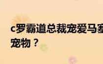 c罗霸道总裁宠爱马塞洛为什么马塞洛是球队宠物？