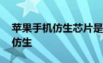 苹果手机仿生芯片是什么 苹果芯片为什么叫仿生 