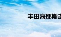 丰田海耶斯走向高端市场