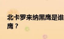 北卡罗来纳黑鹰是谁 为什么叫北卡罗来纳黑鹰？