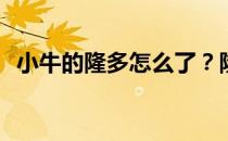 小牛的隆多怎么了？隆多为什么离开小牛？