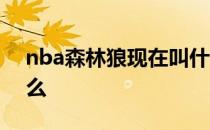 nba森林狼现在叫什么名字 nba森林狼为什么 