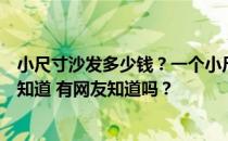 小尺寸沙发多少钱？一个小尺寸的现代沙发价格怎么样？谁知道 有网友知道吗？