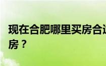 现在合肥哪里买房合适？求神回答合肥哪里买房？