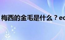 梅西的金毛是什么？ec为什么梅西不是金毛？