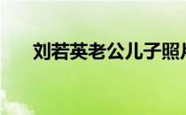 刘若英老公儿子照片 刘若英老公是谁 