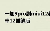 一加9pro刷miui12教程 一加9怎么刷机到安卓12尝鲜版 