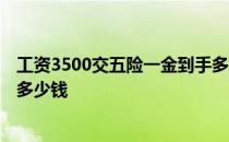 工资3500交五险一金到手多少钱 工资8000交五险一金到手多少钱 